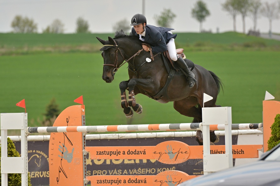 Velká cena Martinic 2014, Skoková soutěž st. 