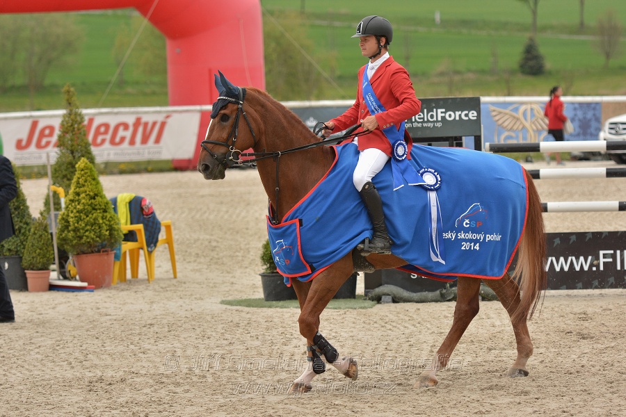 Velká cena Martinic 2014, Skoková soutěž st. 