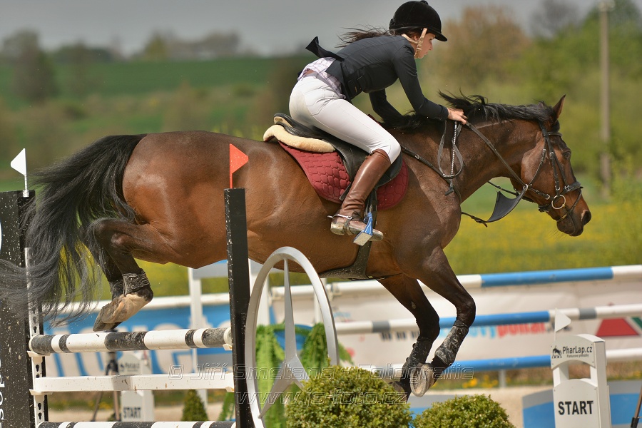 Finále EQUISERVIS Amateur Tour 2014, Skoková soutěž 