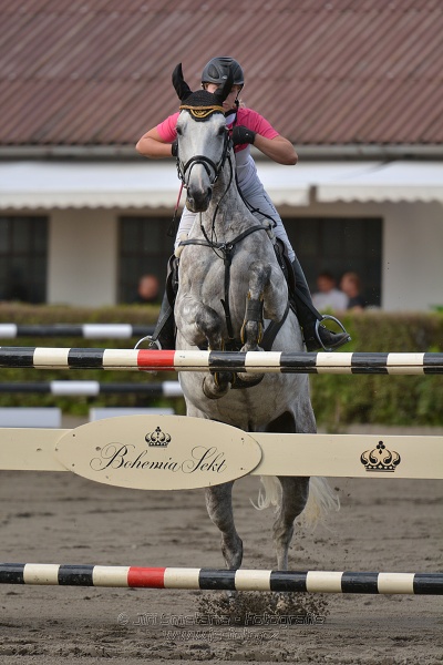 Cena Plzeňského kraje 2014 - Skoková soutěž st. „ ST
