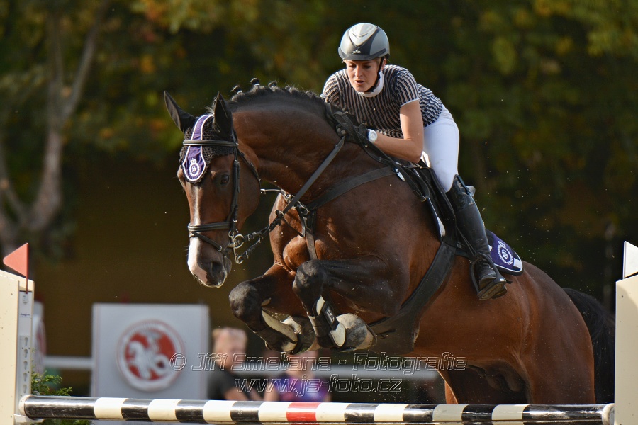 Cena Plzeňského kraje 2014 - Skoková soutěž st. „ ST