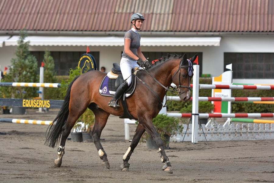Cena Plzeňského kraje 2014 - Skoková soutěž st. „ ST