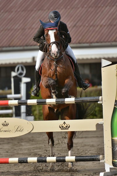 Cena Plzeňského kraje 2014 - Skoková soutěž st. „ ST