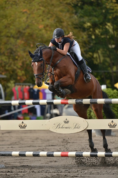 Cena Plzeňského kraje 2014 - Skoková soutěž st. „ ST