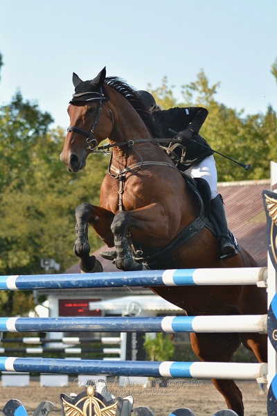 Cena Plzeňského kraje 2014 - Skoková soutěž st. „ ST