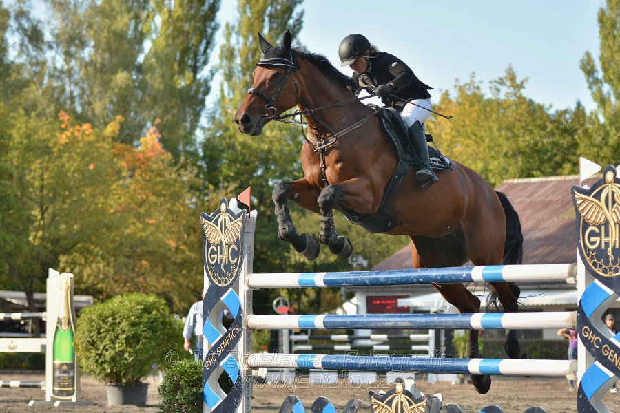 Cena Plzeňského kraje 2014 - Skoková soutěž st. „ ST