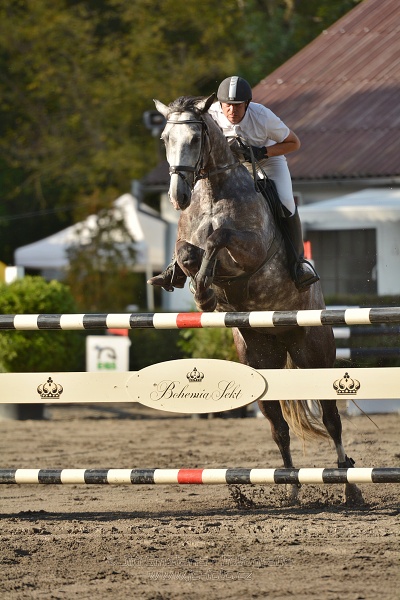 Cena Plzeňského kraje 2014 - Skoková soutěž st. „ ST