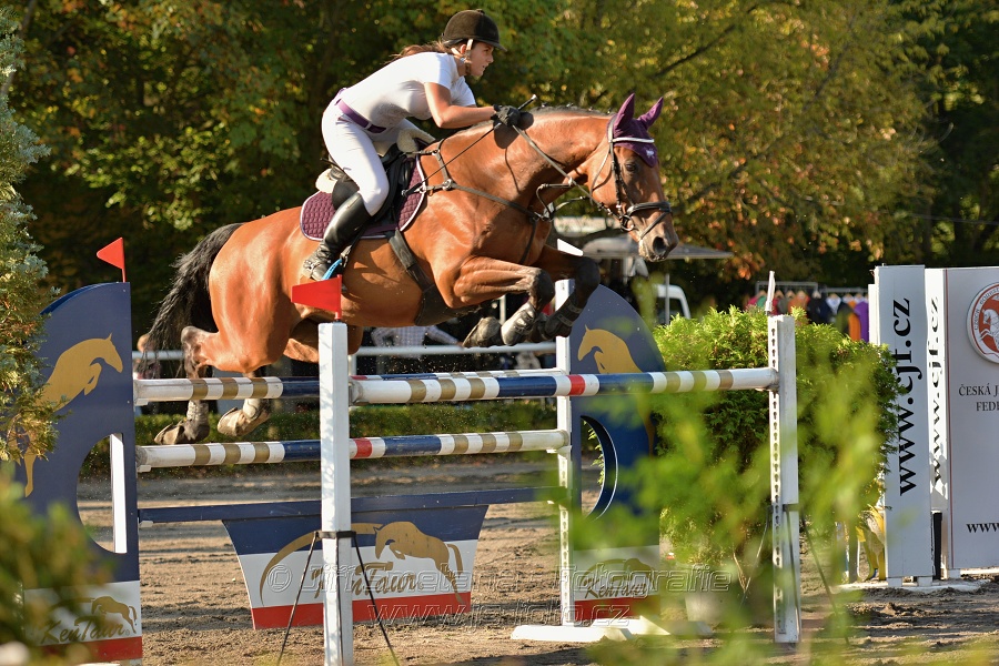 Cena Plzeňského kraje 2014 - Skoková soutěž st. „ ST