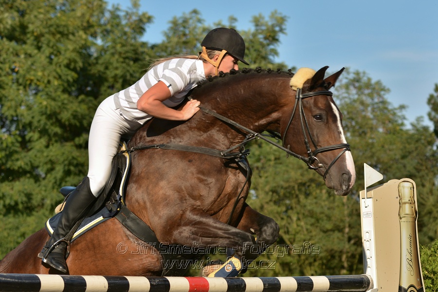 Cena Plzeňského kraje 2014 - Skoková soutěž st. „ ST