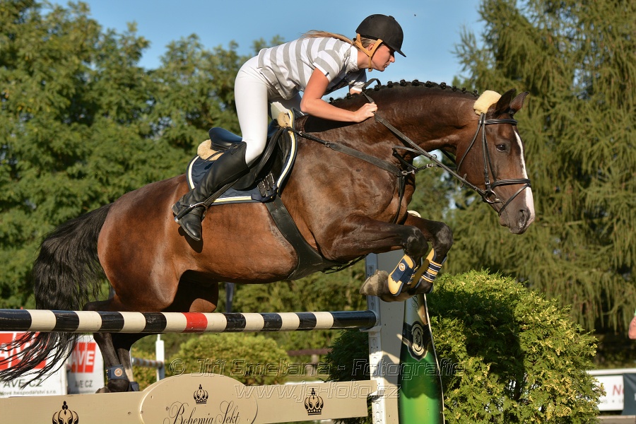 Cena Plzeňského kraje 2014 - Skoková soutěž st. „ ST