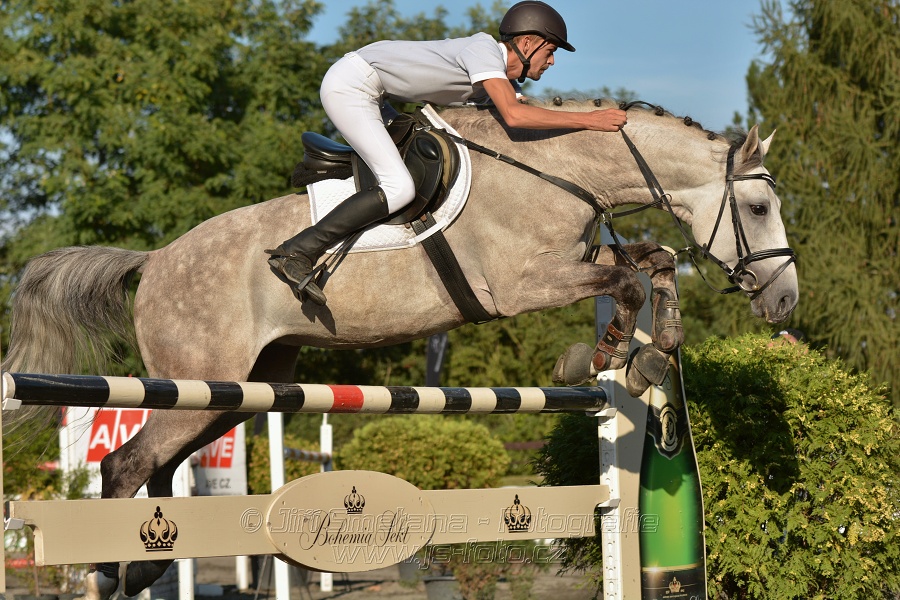 Cena Plzeňského kraje 2014 - Skoková soutěž st. „ ST
