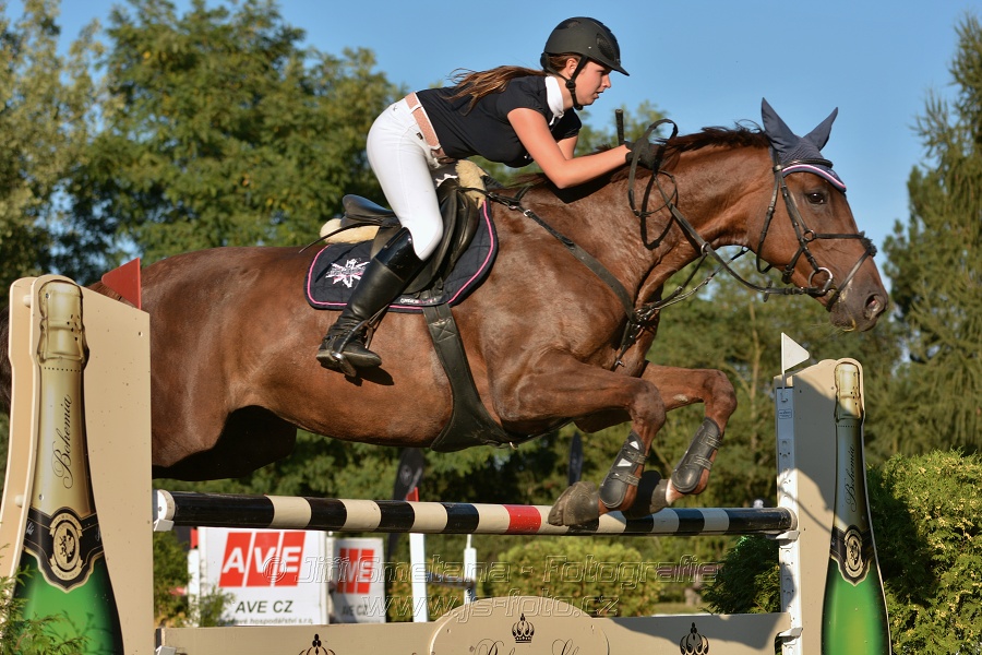 Cena Plzeňského kraje 2014 - Skoková soutěž st. „ ST