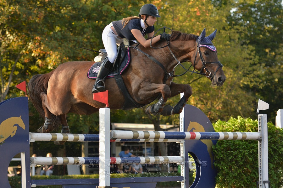 Cena Plzeňského kraje 2014 - Skoková soutěž st. „ ST