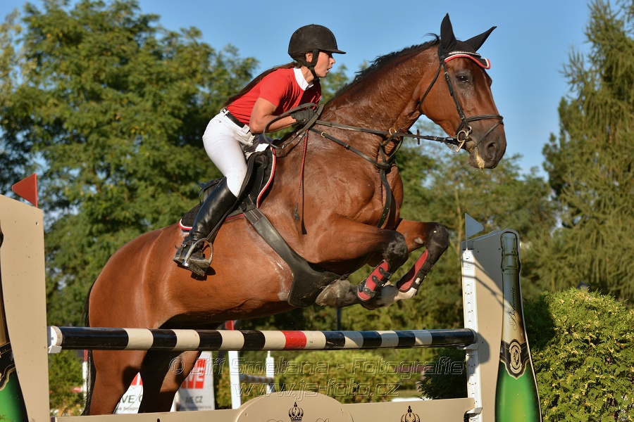 Cena Plzeňského kraje 2014 - Skoková soutěž st. „ ST