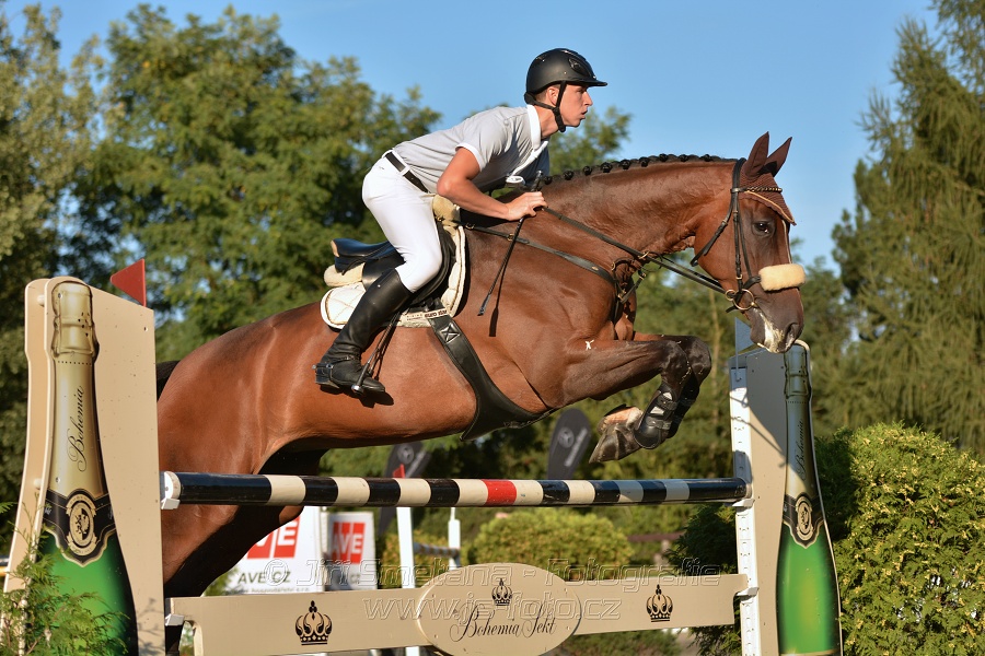 Cena Plzeňského kraje 2014 - Skoková soutěž st. „ ST