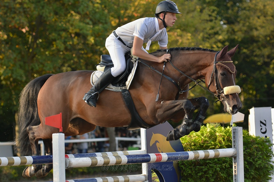 Cena Plzeňského kraje 2014 - Skoková soutěž st. „ ST