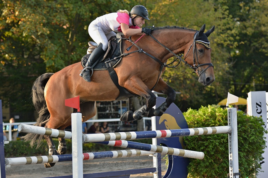 Cena Plzeňského kraje 2014 - Skoková soutěž st. „ ST