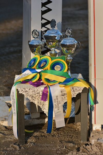 Cena Plzeňského kraje 2014 - Skoková soutěž st. „ ST