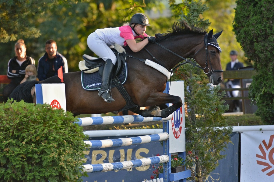 Cena Plzeňského kraje 2014 - Skoková soutěž st. „ ST