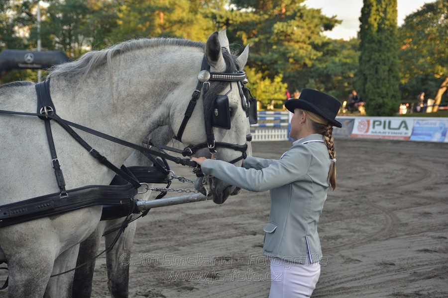 Cena Plzeňského kraje 2014 - Skoková soutěž st. „ ST