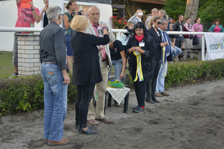 Cena Plzeňského kraje 2014 - Skoková soutěž st. „ ST