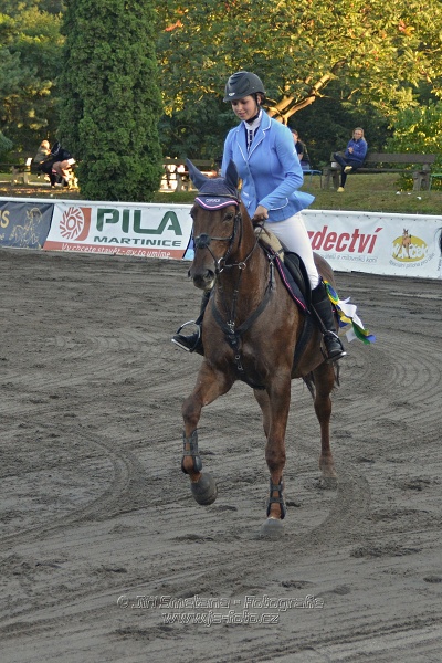 Cena Plzeňského kraje 2014 - Skoková soutěž st. „ ST