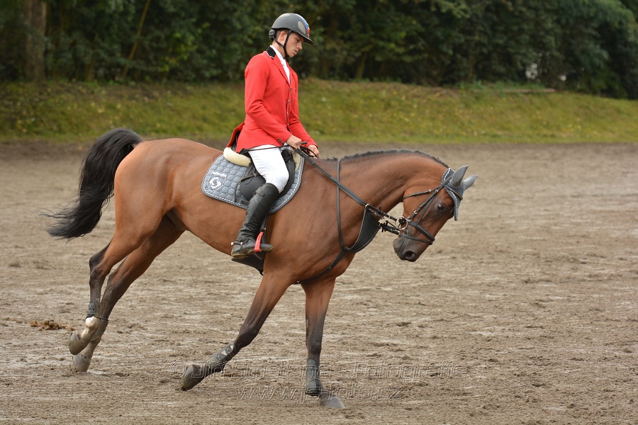 Velká cena města Plzně 2014 - Skoková soutěž st. „T*