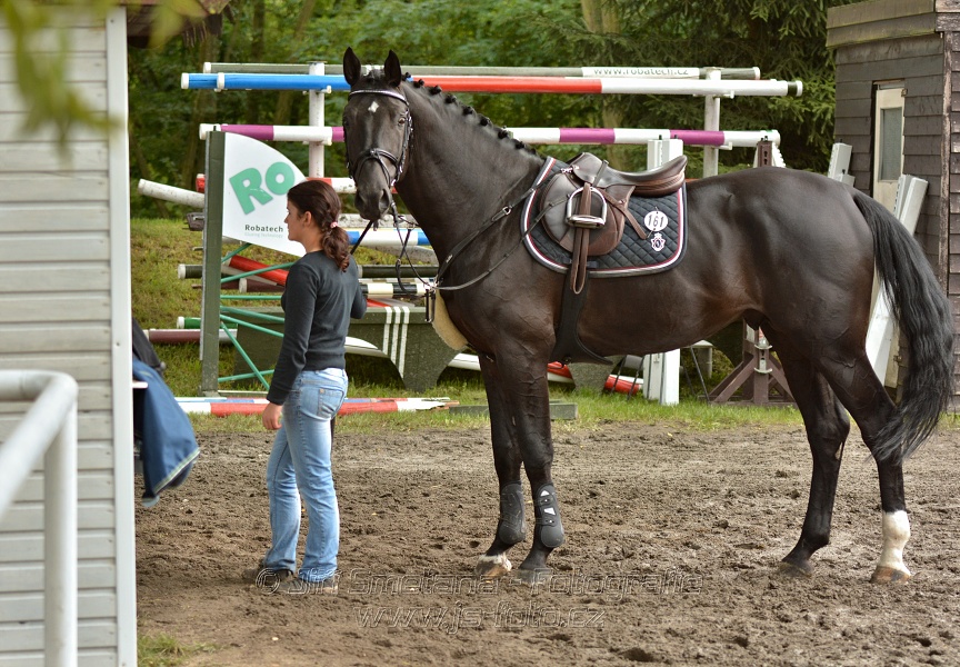 Velká cena města Plzně 2014 - Skoková soutěž st. „T*