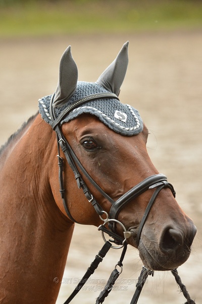 Velká cena města Plzně 2014 - Skoková soutěž st. „T*