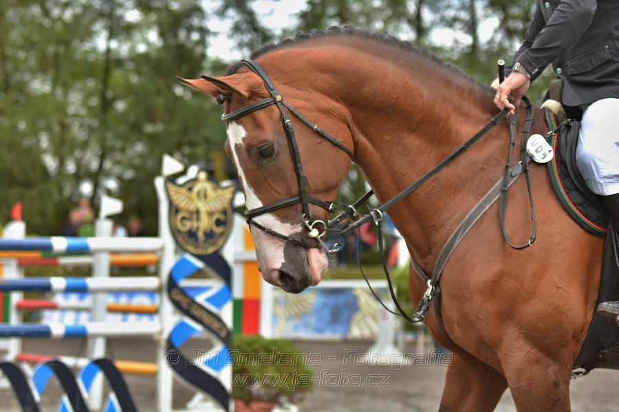 Velká cena města Plzně 2014 - Skoková soutěž st. „T*