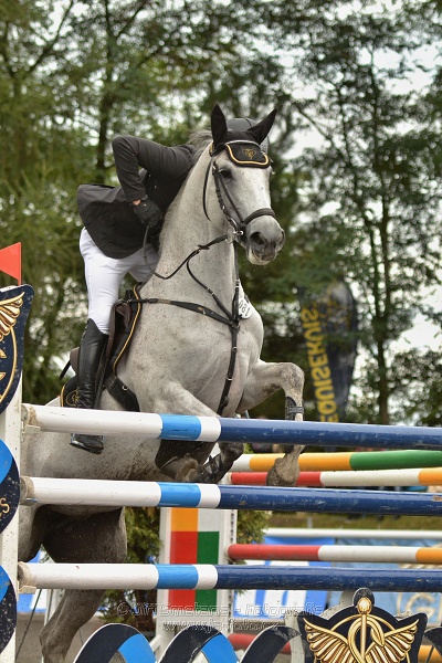 Velká cena města Plzně 2014 - Skoková soutěž st. „T*