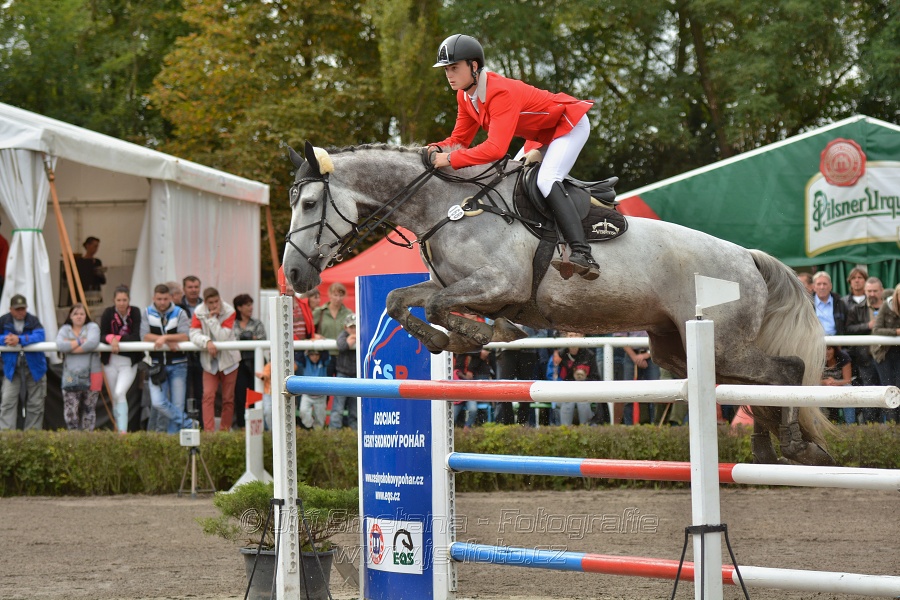 Velká cena města Plzně 2014 - Skoková soutěž st. „T*