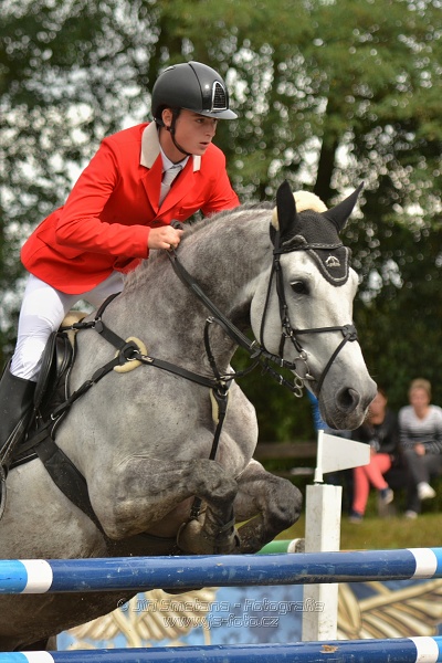 Velká cena města Plzně 2014 - Skoková soutěž st. „T*