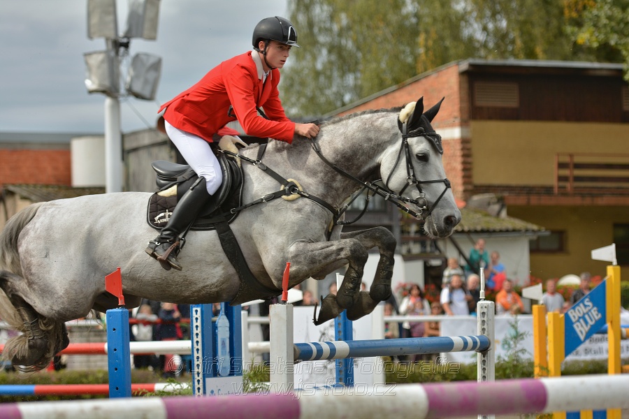 Velká cena města Plzně 2014 - Skoková soutěž st. „T*