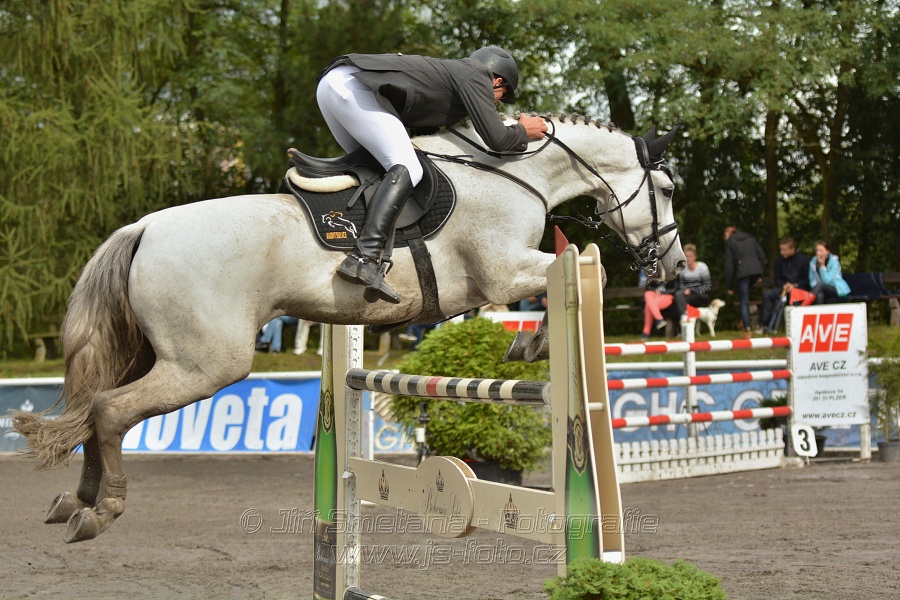 Velká cena města Plzně 2014 - Skoková soutěž st. „T*