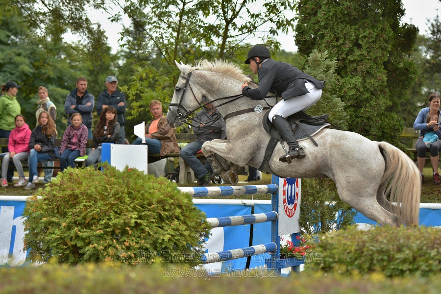 Velká cena města Plzně 2014 - Skoková soutěž st. „T*