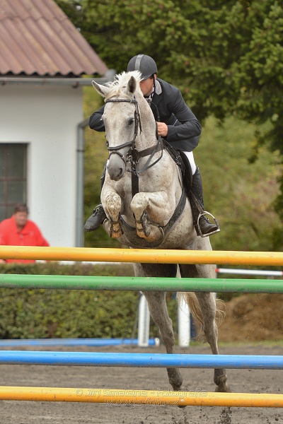 Velká cena města Plzně 2014 - Skoková soutěž st. „T*