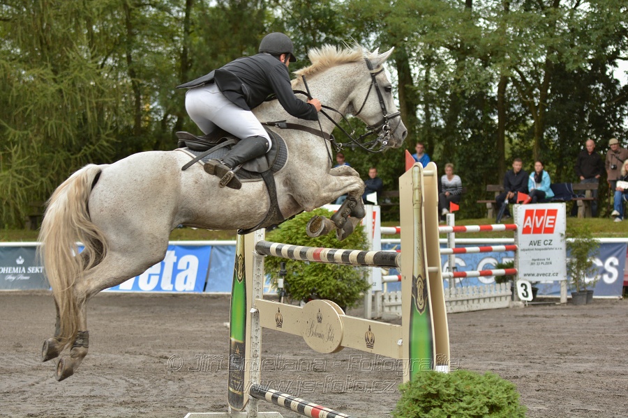 Velká cena města Plzně 2014 - Skoková soutěž st. „T*