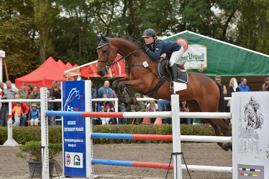Velká cena města Plzně 2014 - Skoková soutěž st. „T*