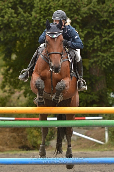 Velká cena města Plzně 2014 - Skoková soutěž st. „T*