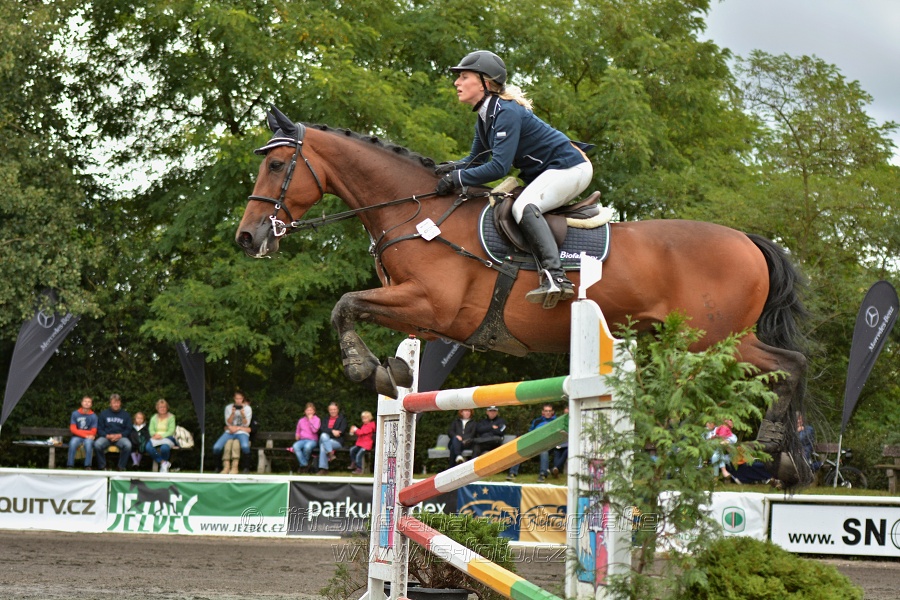 Velká cena města Plzně 2014 - Skoková soutěž st. „T*