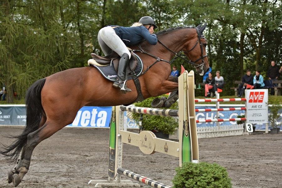 Velká cena města Plzně 2014 - Skoková soutěž st. „T*