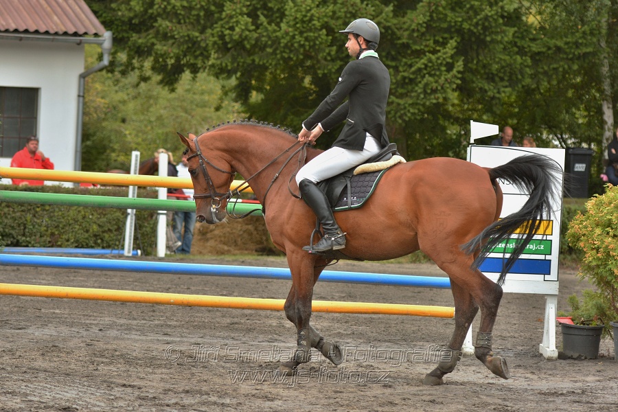 Velká cena města Plzně 2014 - Skoková soutěž st. „T*