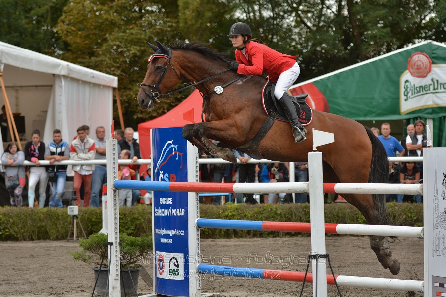 Velká cena města Plzně 2014 - Skoková soutěž st. „T*