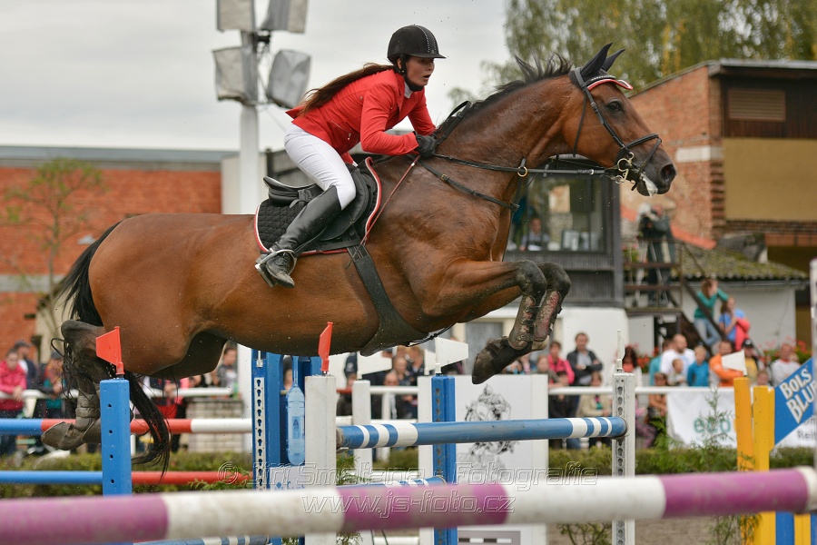 Velká cena města Plzně 2014 - Skoková soutěž st. „T*