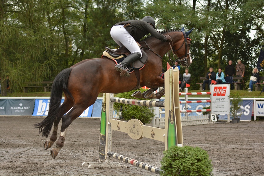 Velká cena města Plzně 2014 - Skoková soutěž st. „T*