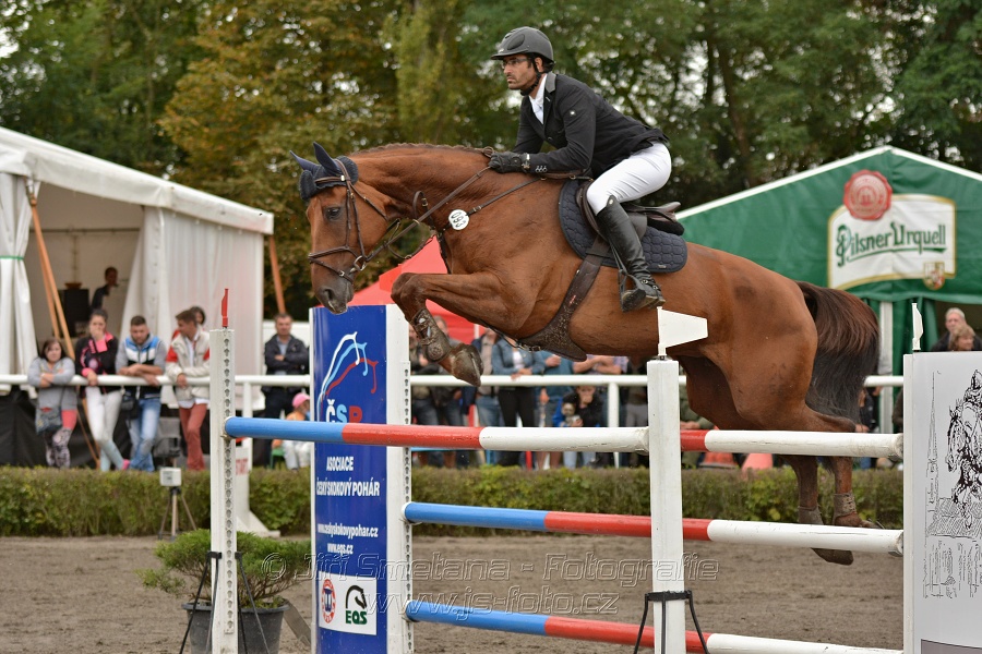 Velká cena města Plzně 2014 - Skoková soutěž st. „T*