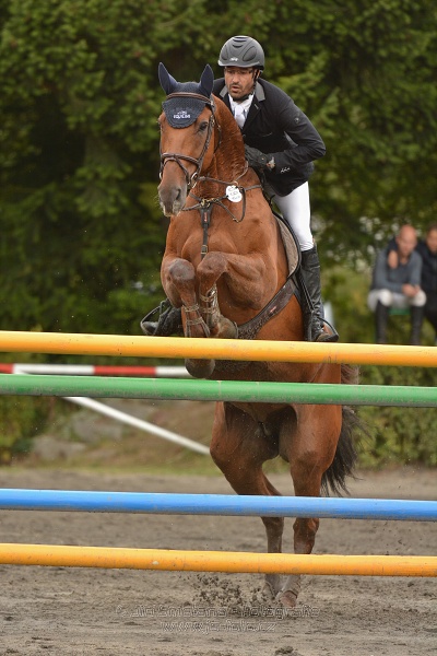 Velká cena města Plzně 2014 - Skoková soutěž st. „T*
