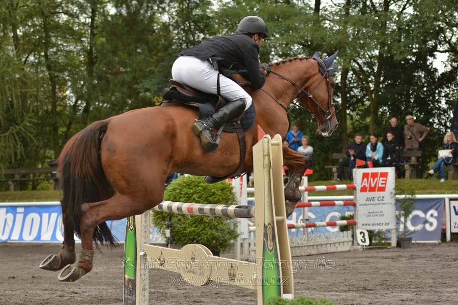 Velká cena města Plzně 2014 - Skoková soutěž st. „T*