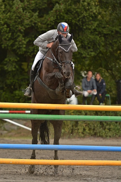 Velká cena města Plzně 2014 - Skoková soutěž st. „T*